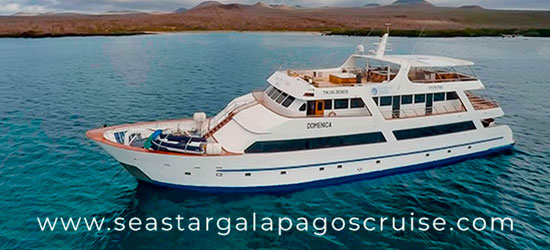 Yate Sea Star Cruise Galápagos.